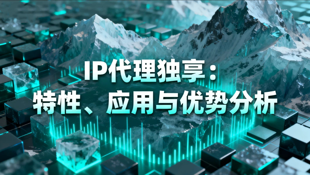 IP代理独享：特性、应用与优势分析