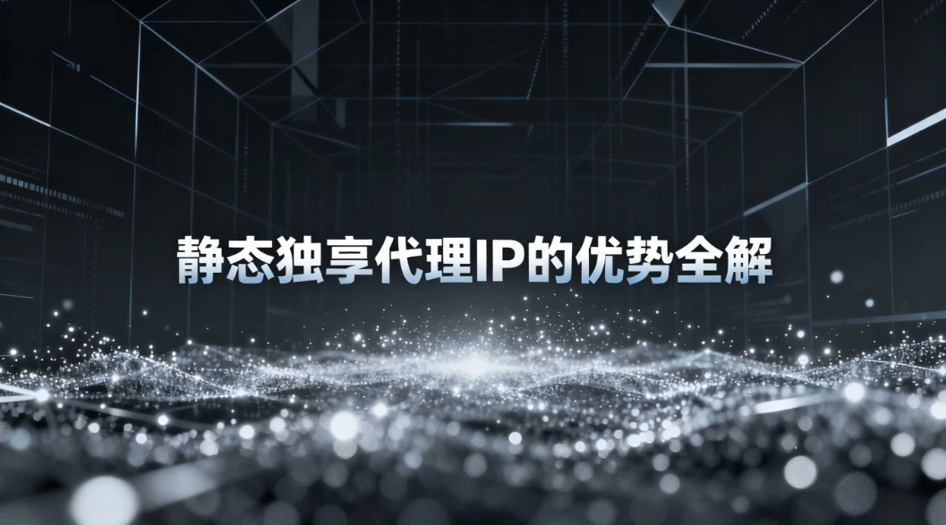 静态独享代理IP的优势全解