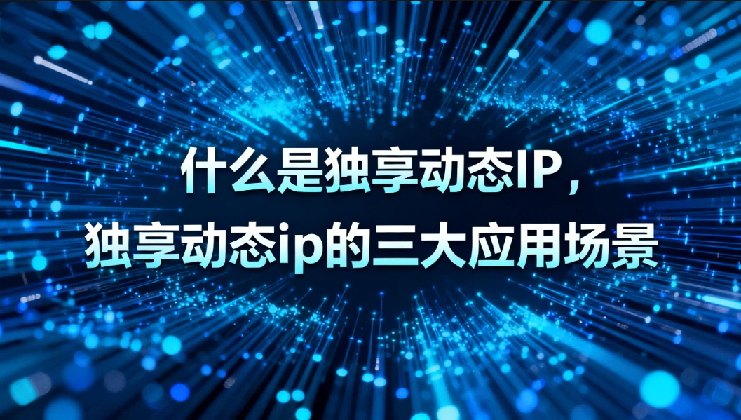 什么是独享动态IP，独享动态ip的三大应用场景