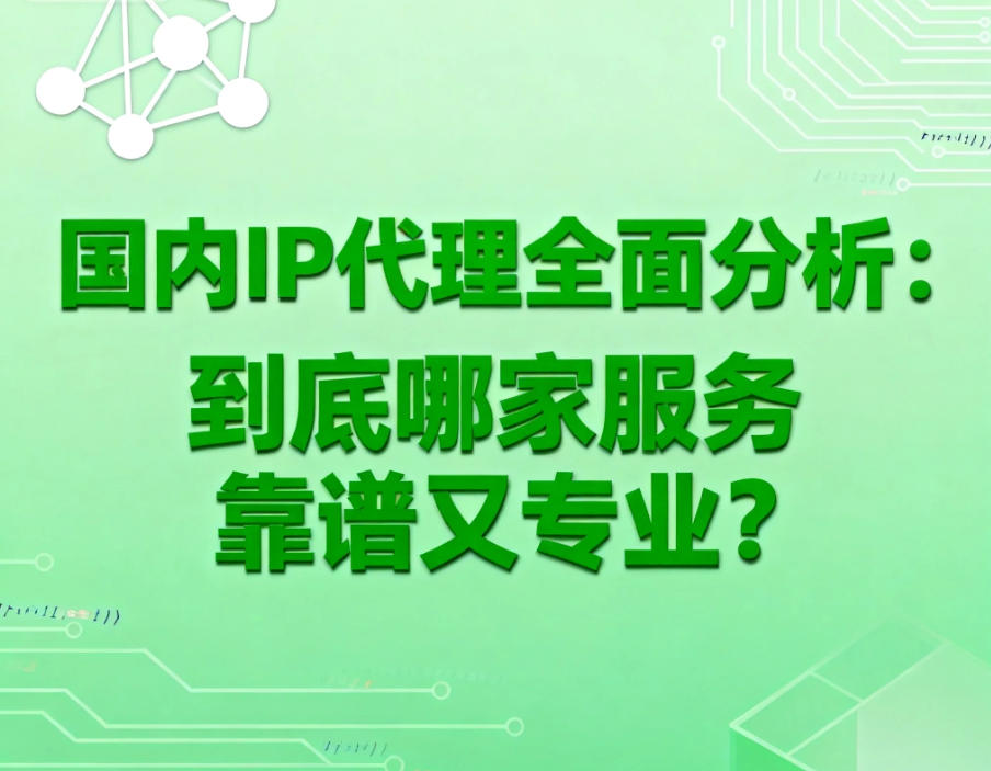 国内IP代理全面分析：到底哪家服务靠谱又专业？
