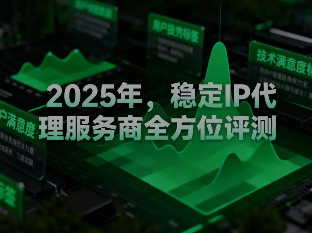 2025年，稳定IP代理服务商全方位评测